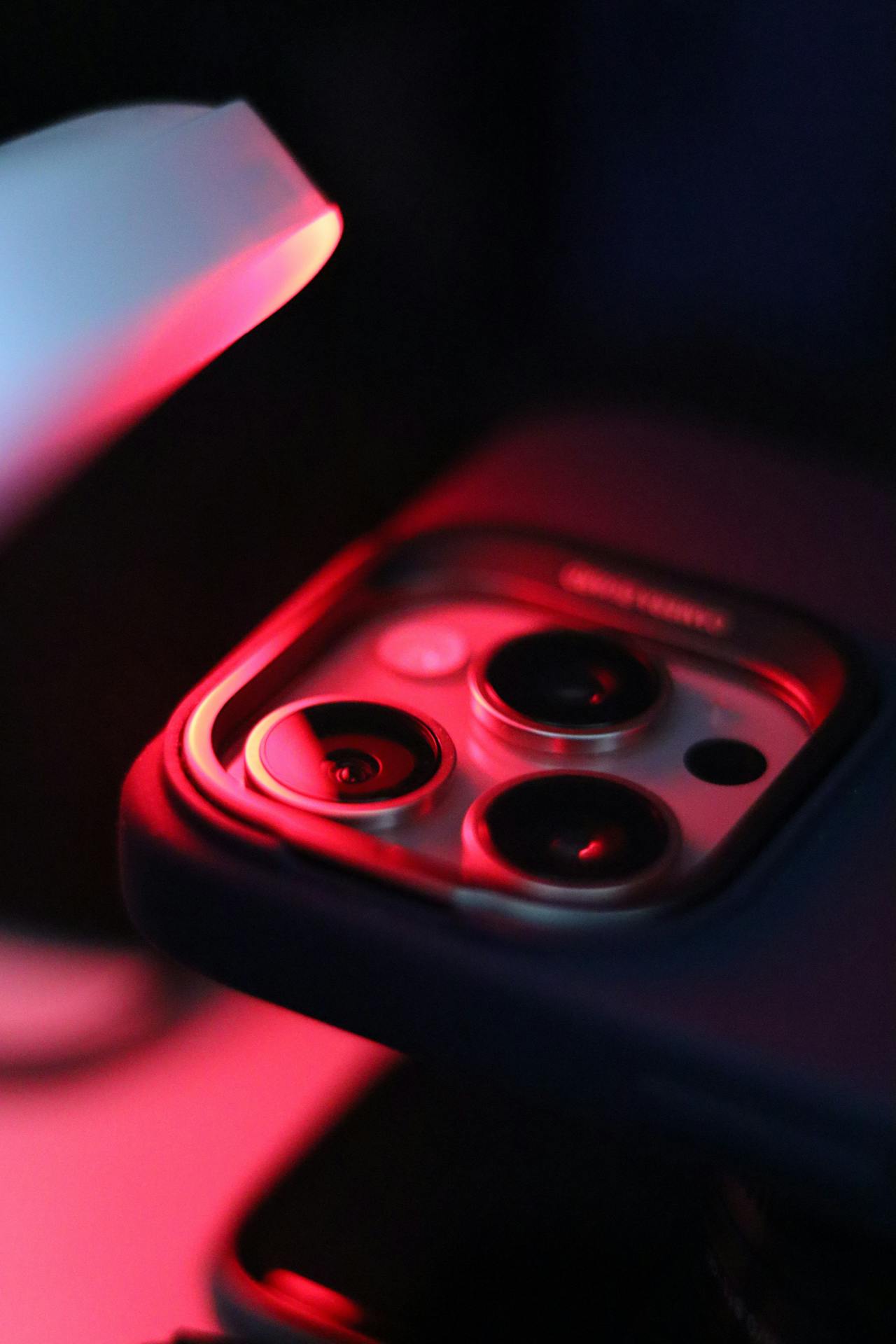 Wildlife Reserves Report Surge in Endangered Species Sightings